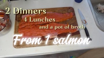 Wild sockeye salmon season